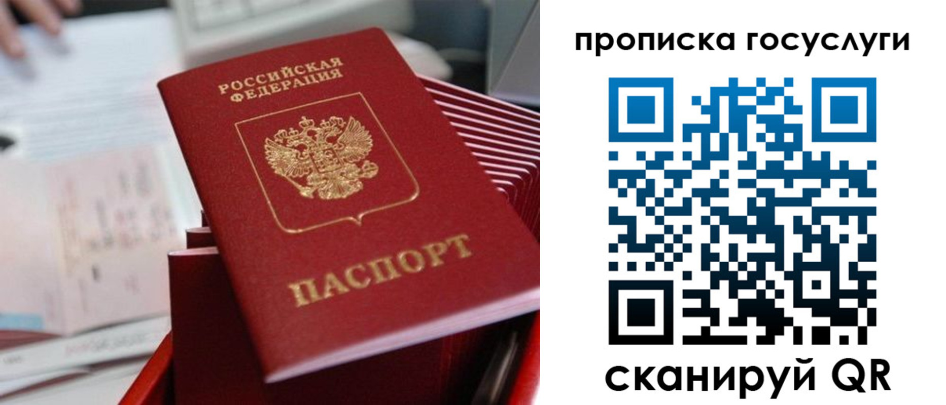 прописка законно в Псковской области